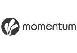 Momentum